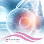 Transfer degli embrioni: guida completa alla procedura