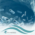 Probiotici per Intestino Infiammato: Benefici e Come Sceglierli